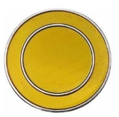 POKEMON GYM BADGE COLLECTION KANTO MARSH BADGE